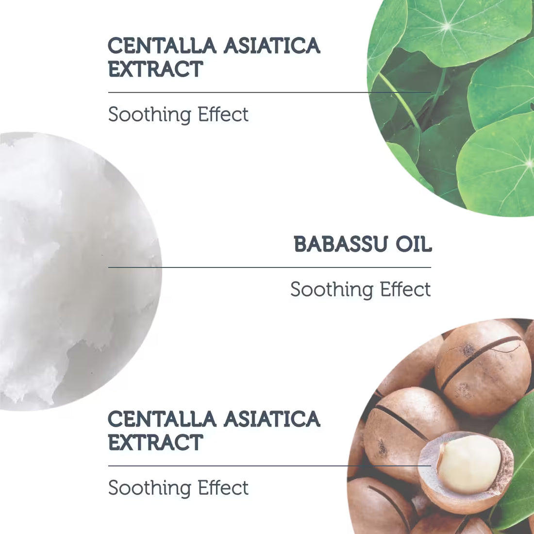 The Purest Babassu Oil 1% & Centella Asiatica Extract Cleansing Balm – 85g /بلسم تنظيف البشرة من بيورست الصورة 5